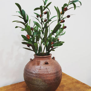 Rustic Terracotta Olive Pot