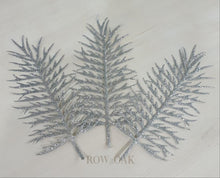 Load image into Gallery viewer, Silver Fronds