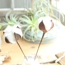 Load image into Gallery viewer, Single Natural Cotton Boll With Long Stem