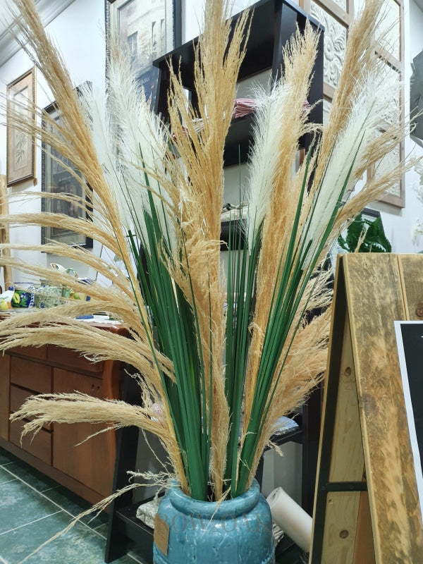 Tall Natural Pampas Grass - 160Cm