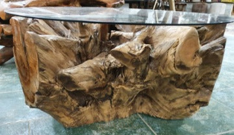 Teak Full Root Coffee Table With Glass Top