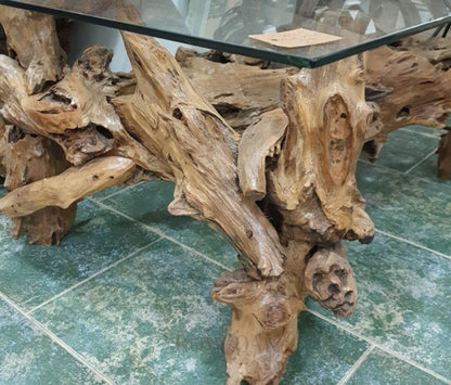 Teak Root Coffee Table With Glass Top