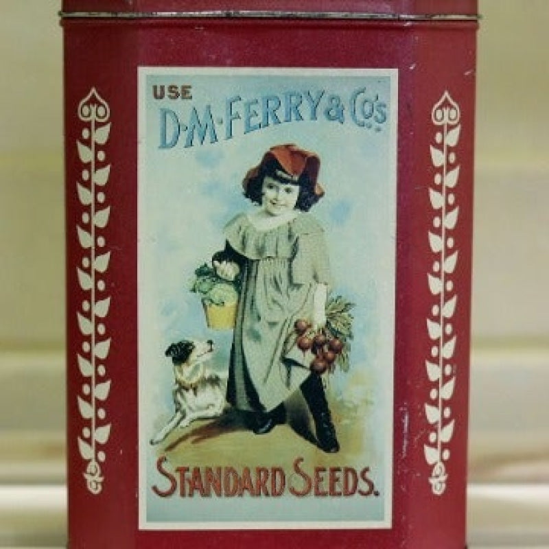 Vintage Standard Seeds Metal Container