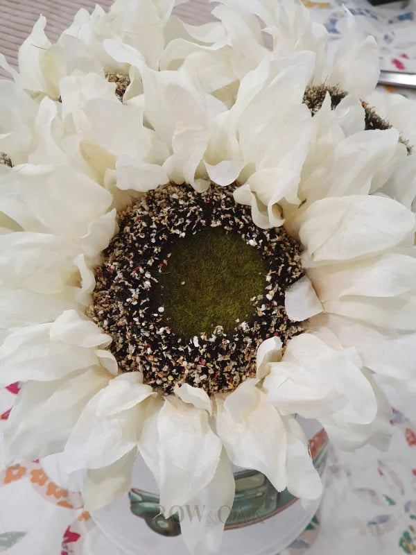 White Sunflower Stem